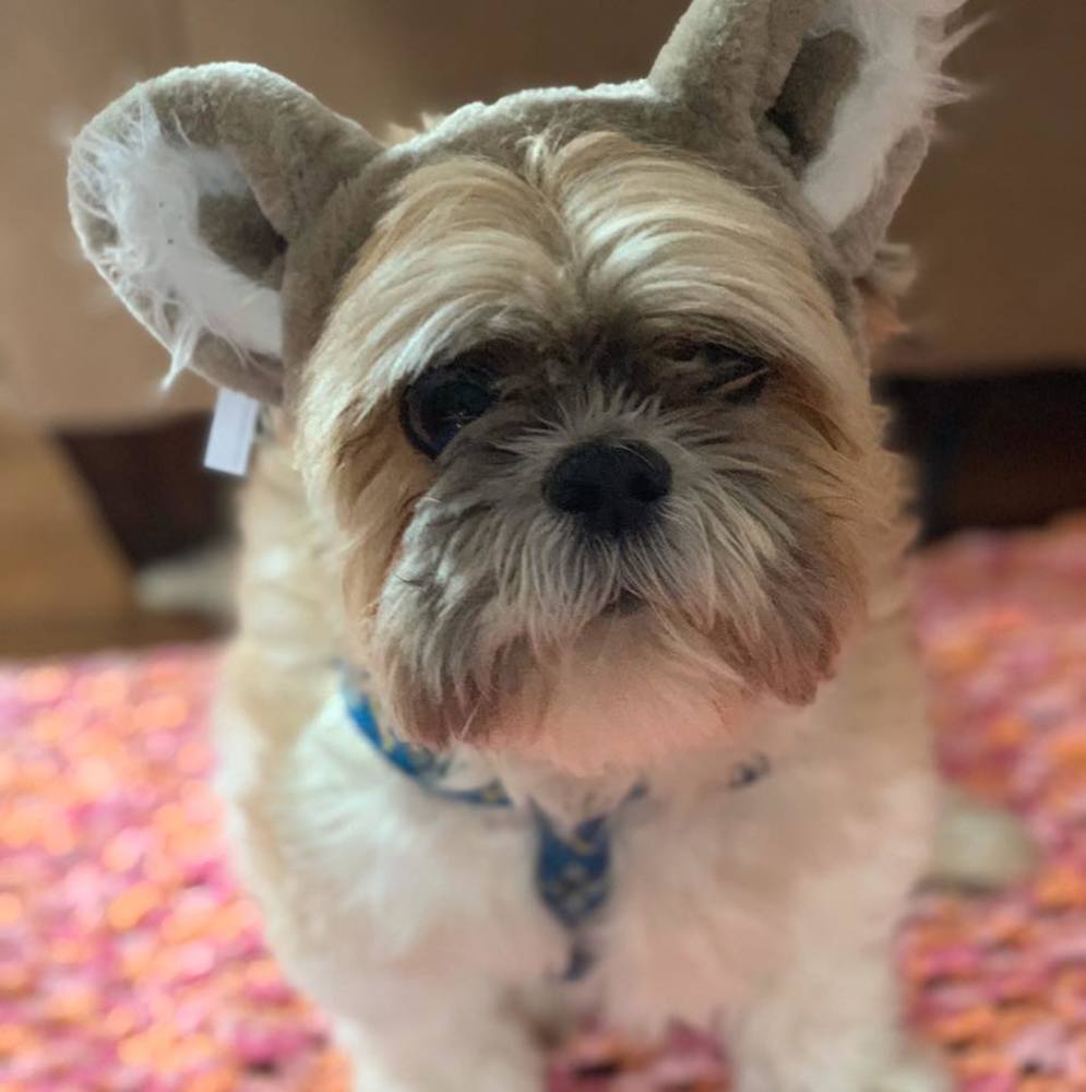 Meet your Posher, Renita